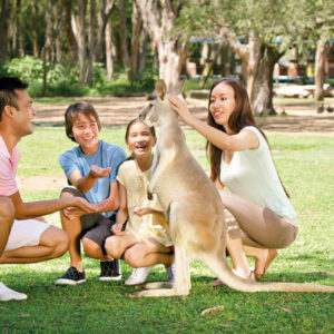 Family with kangaroo, Currumbin Wildlife Sanctuary | Courtesy of Tourism and Events Queensland | Photo Credit: Paul Giggle