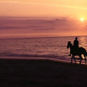 Horse riding at Sunset, Tonga | Photo Courtesy of Tourism Tonga