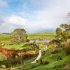 The Shire, Matamata Waikato | Photo Credit: Sara Orme