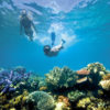 Snorkeling The Great Barrier Reef | Photo Courtesy of Luxury Lodges of Australia
